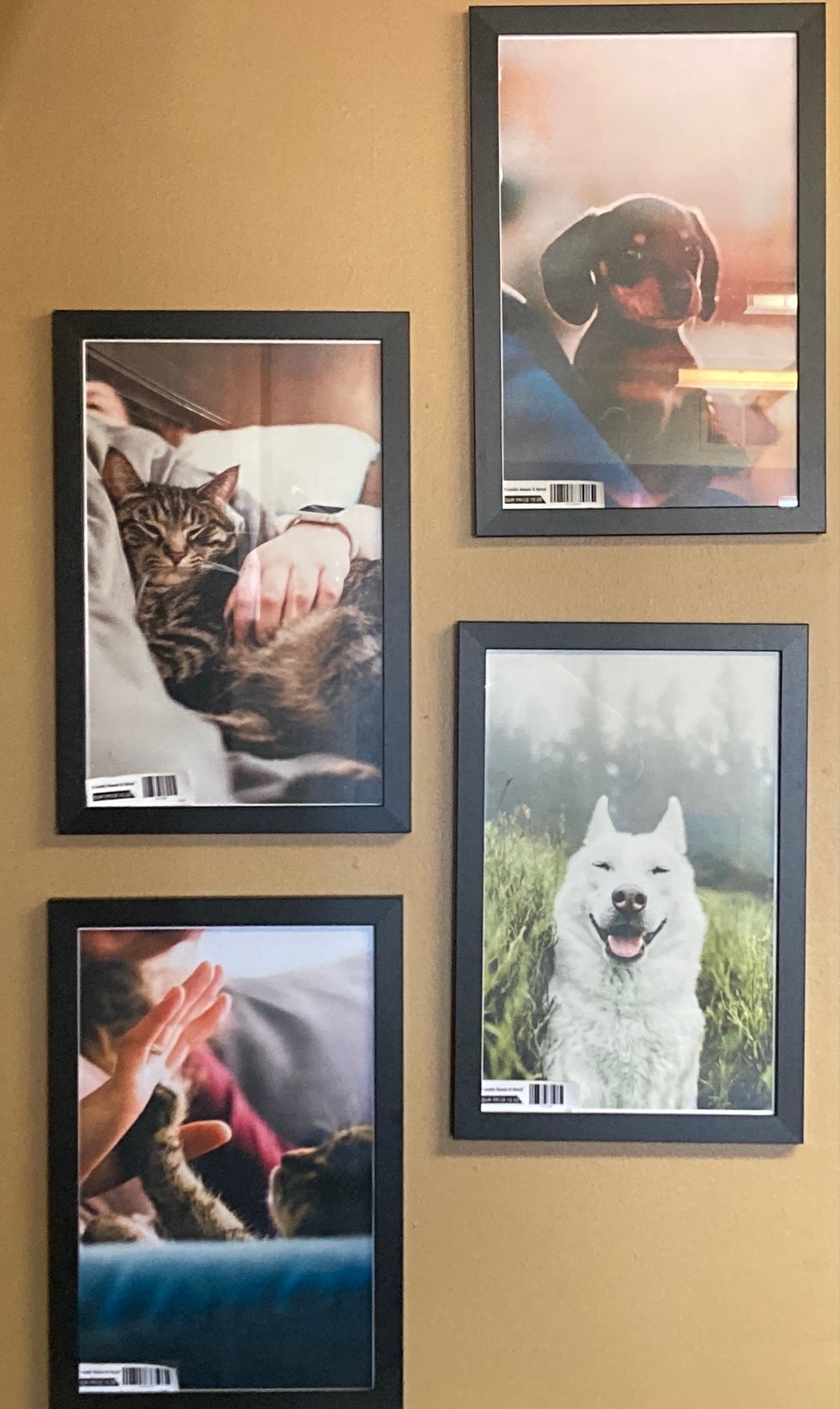 Framed Art